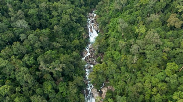 Statut Social et Justice : Naviguer le Système Juridique en Fonction de Votre Position Sociale